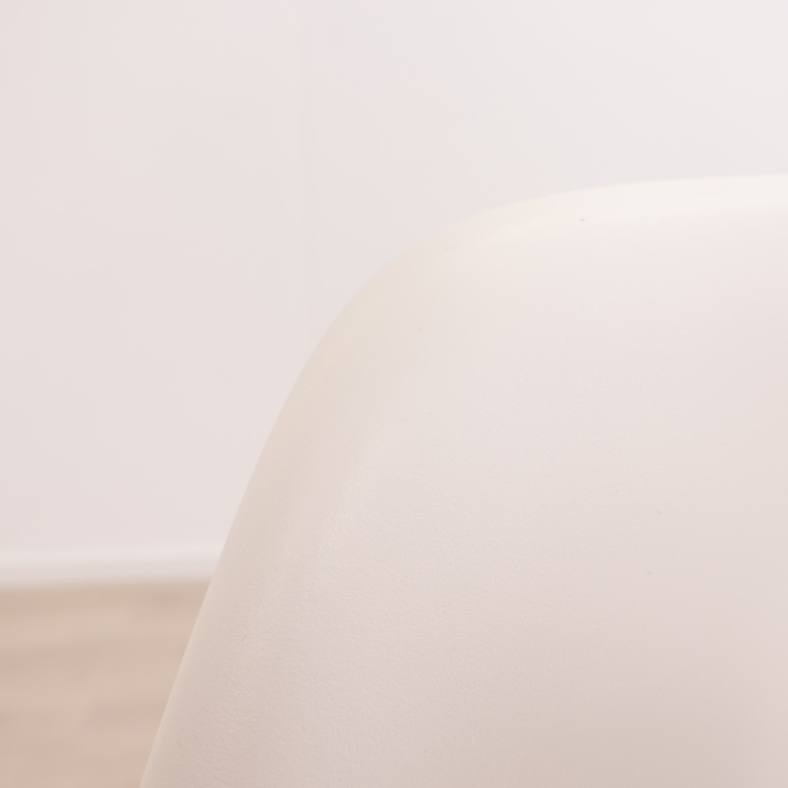 Vitra Eames Plastic Side Chair
